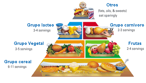 Que comer en un dia para bajar de peso